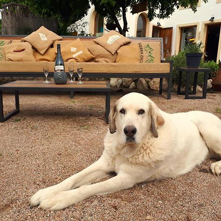 Cal Pau Cruset Guest House Torrellas de Foix Exterior foto