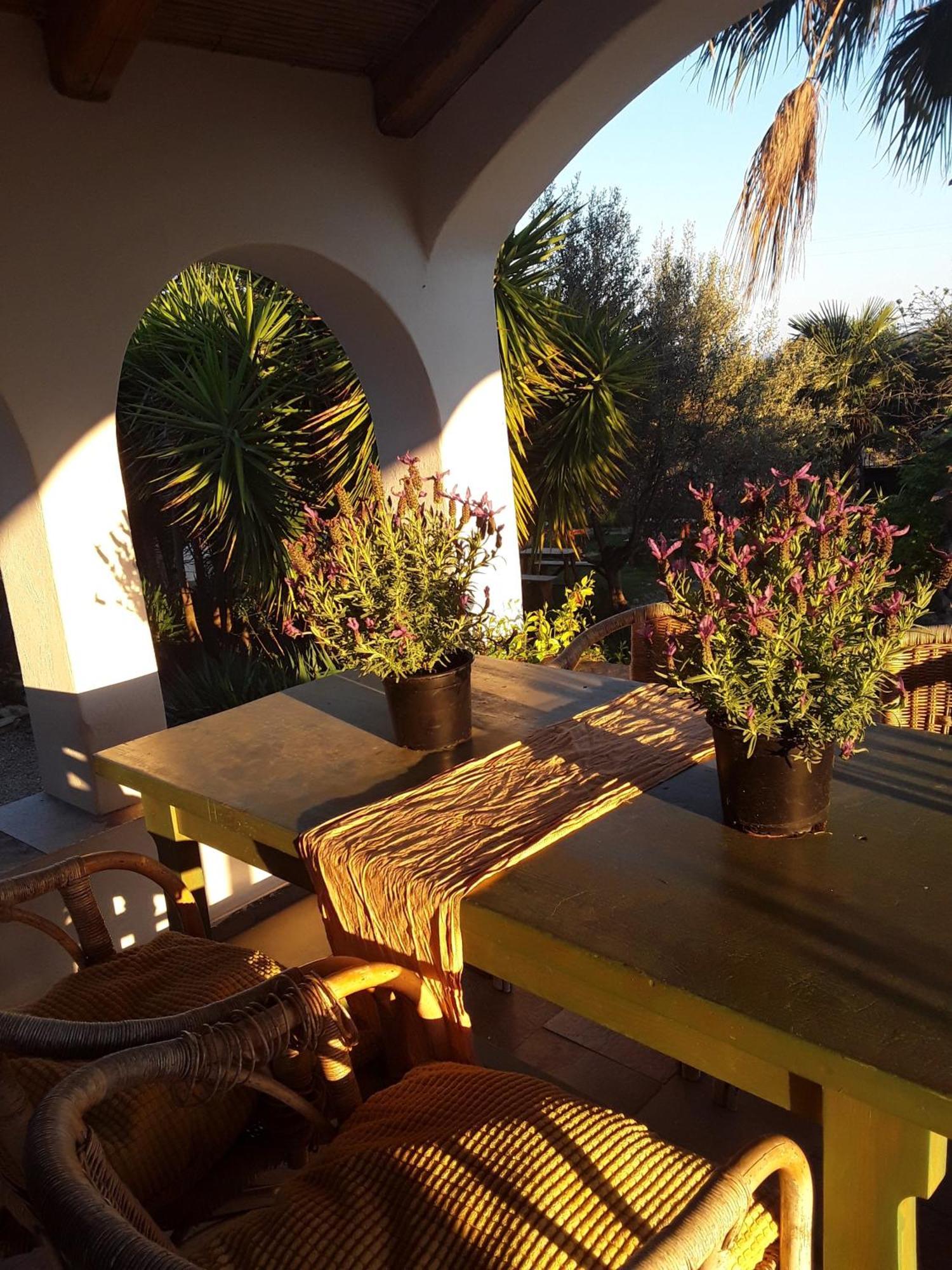 Cal Pau Cruset Guest House Torrellas de Foix Exterior foto